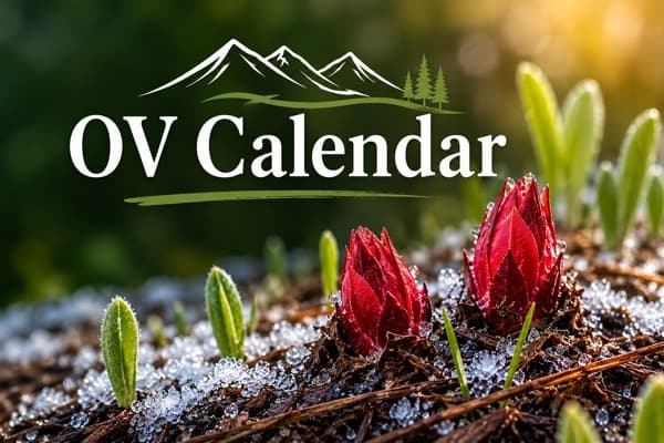 OV Calendar — the consolidated Olympic Valley community calendar